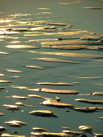 The sun setting over the sand