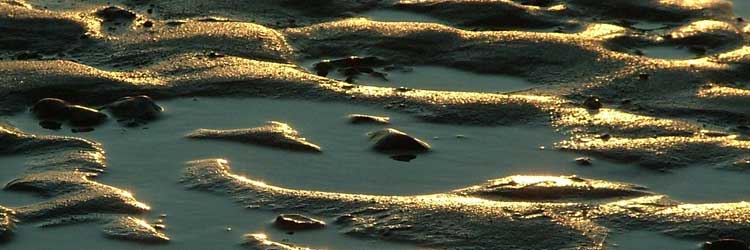 Sand on Holme-Next-To-See