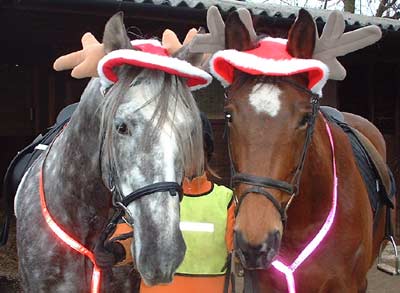 Nadia with the horses