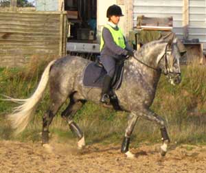 Moises and Nadia schooling