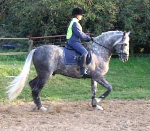 Moises and Nadia schooling