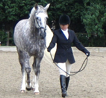 Nadia and Moises being judged in-hand