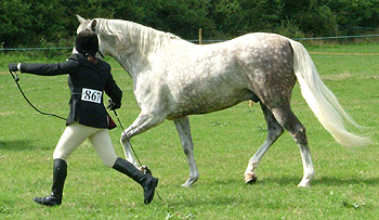 Nadia and Mo working it in the arena!