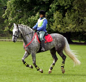 Moises and Nadia schooling