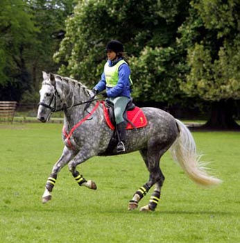 Moises and Nadia schooling