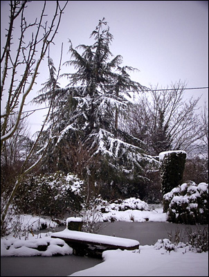 Frozen pond