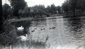 The Suspension Bridge.