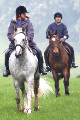 Cantering up the hill