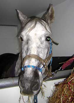 Mo hiding from the rain in his lorry