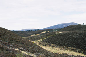 A view from the Ryvoan Pass