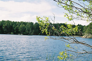 Loch Garten