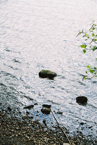 Loch Garten