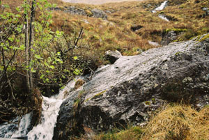 Nice rock/water combo!