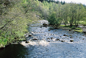 The River Dulnain